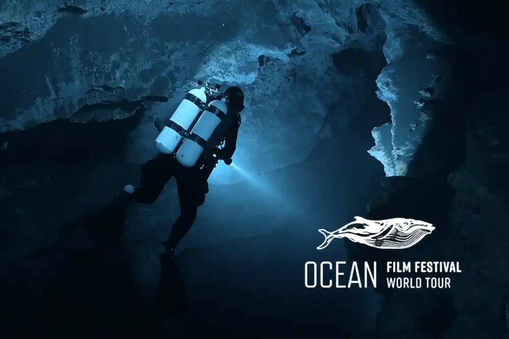 Ocean Movie Competition 2025 UK dates introduced!