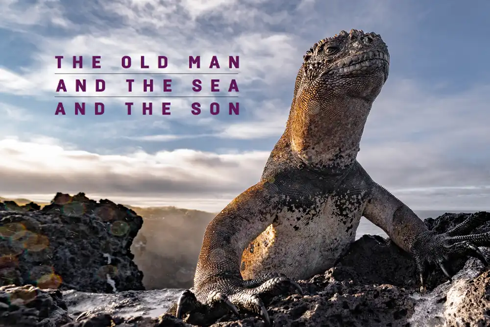 The old man, the sea, and the son – a father and son’s diving journey to Galápagos