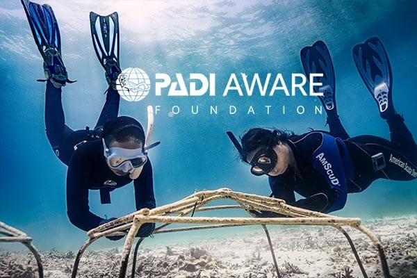 PADI AWARE announces 2022 conservation grants