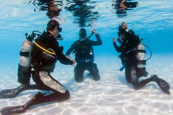 PADI sold to private consortium for $700m