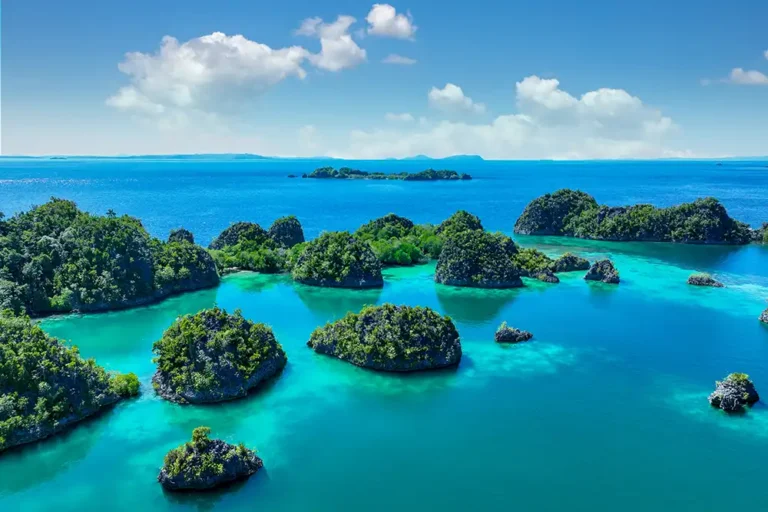 Papua New Guinea plans vast marine sanctuary along Pacific ‘marine highway’
