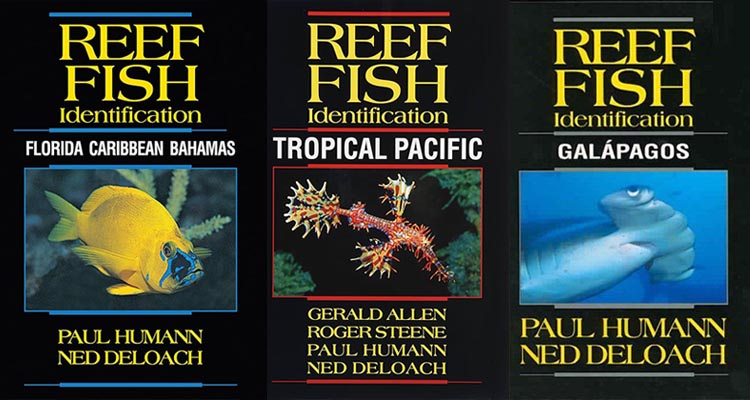 three of paul humann's fish id books