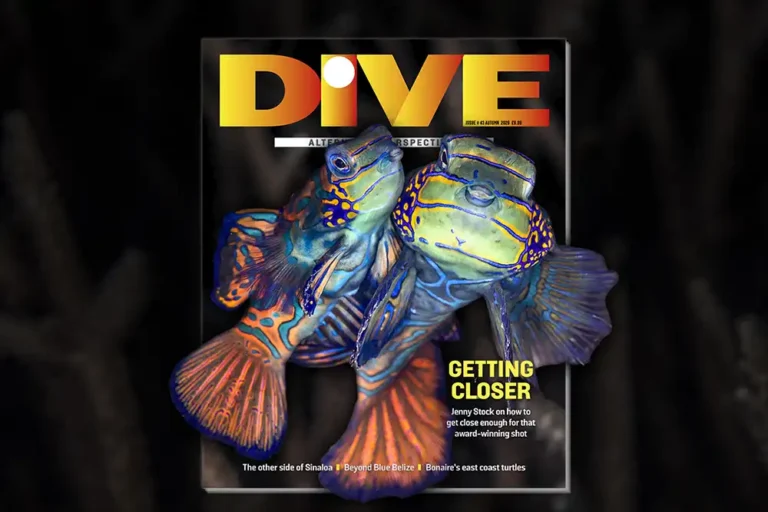 DIVE Magazine Autumn 2026