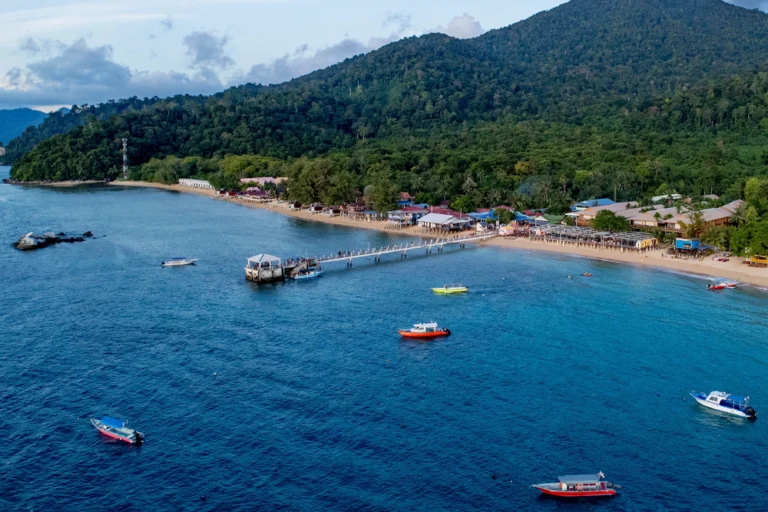 Malaysia diving association calls for investigation after Tioman deaths
