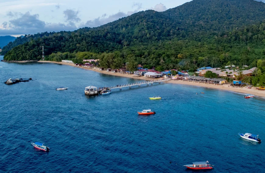 Malaysia diving association calls for investigation after Tioman deaths