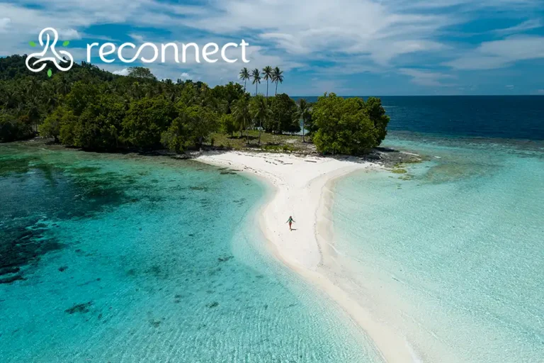 Reconnect Private Island Resort – diving without the crowds in Indonesia’s Togean Islands
