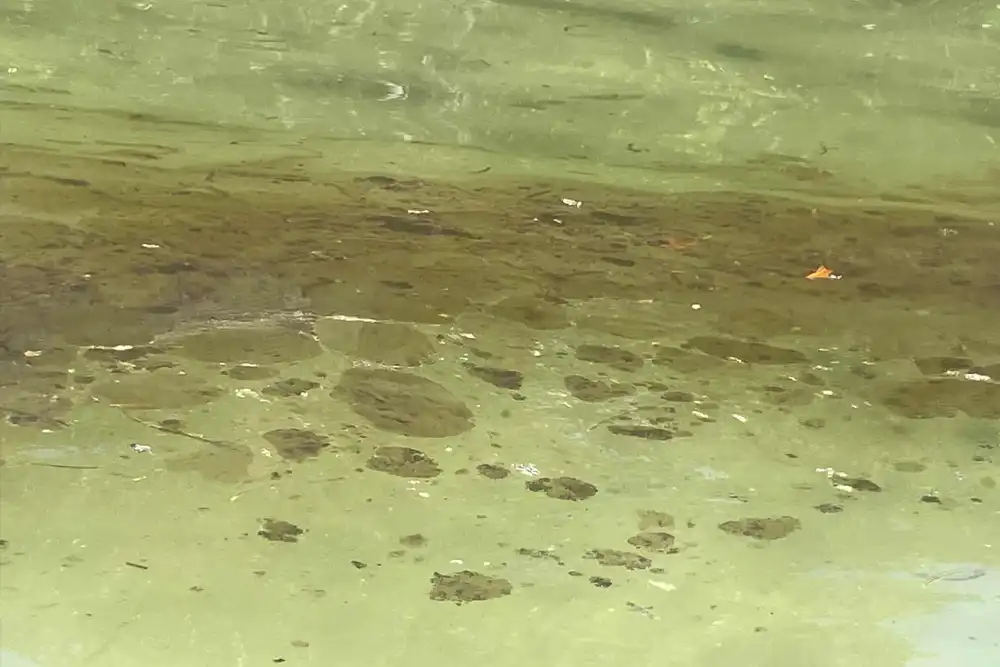 picture showing an oil slick in shallow water in Micronesia
