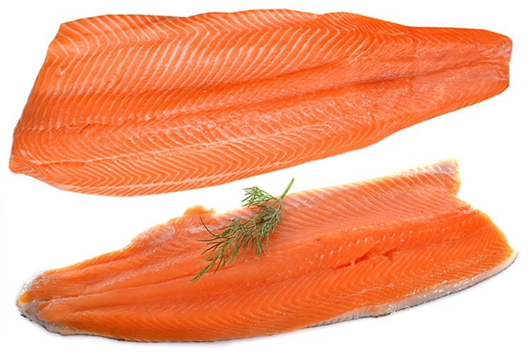 salmon and trout fillets placed side by side