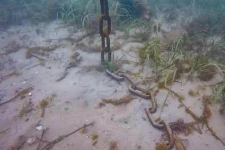 damage caused to seagrass by anchor chain