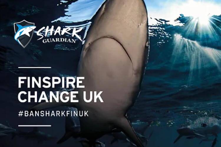 shark guardian finspire change campaign poster