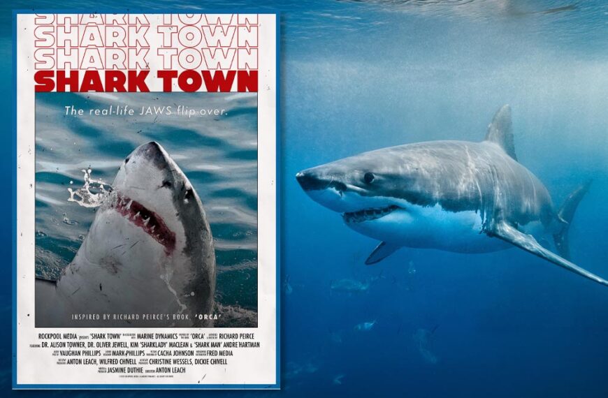UK premiere of Shark Town to be hosted by Shark Trust in Bristol