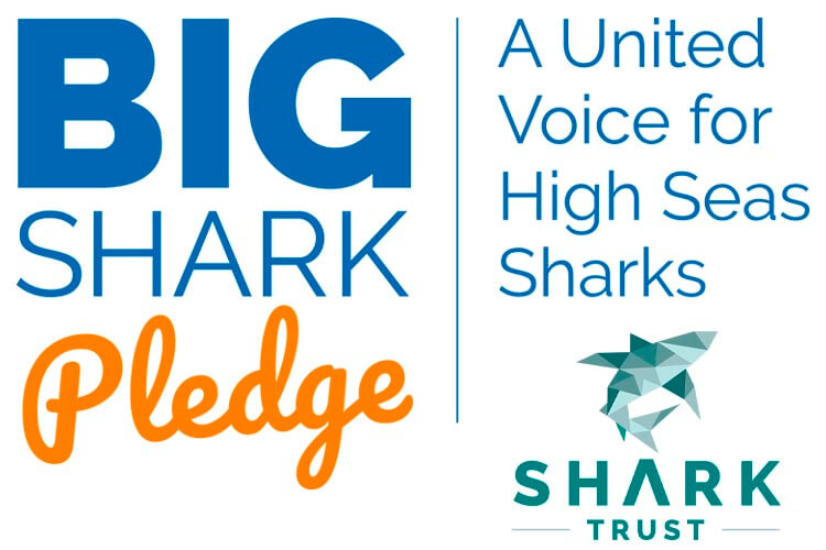 shark trust big shark pledge logo