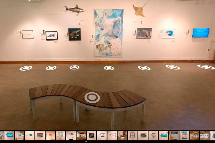shark trust oceanic 31 virtual exhibition