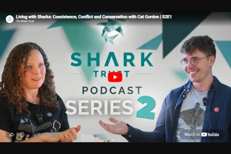 Shark Trust podcast series 2 begins today