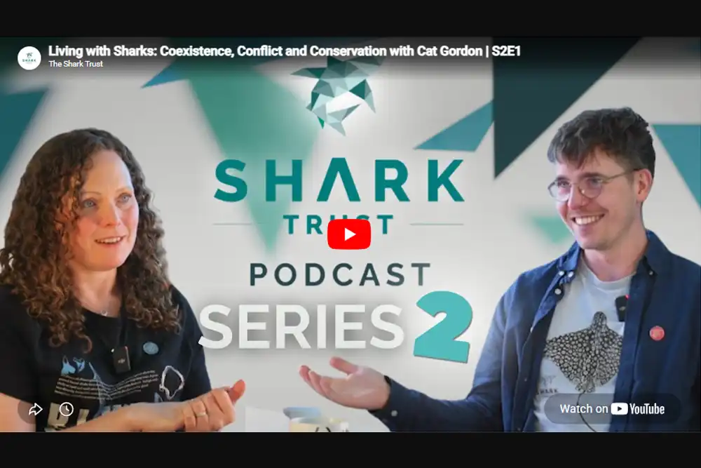 Shark Trust podcast series 2 begins today