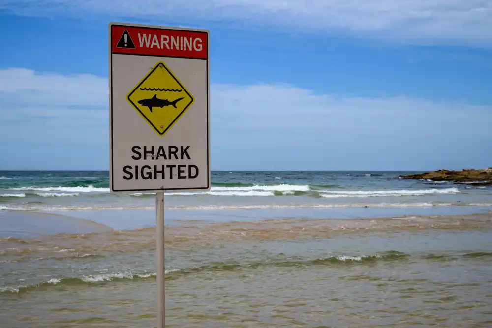 12-year-old shark attack victim ‘unlikely to survive’