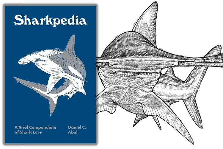 Review: Sharkpedia, A Brief Compendium of Shark Lore by Daniel C Abel