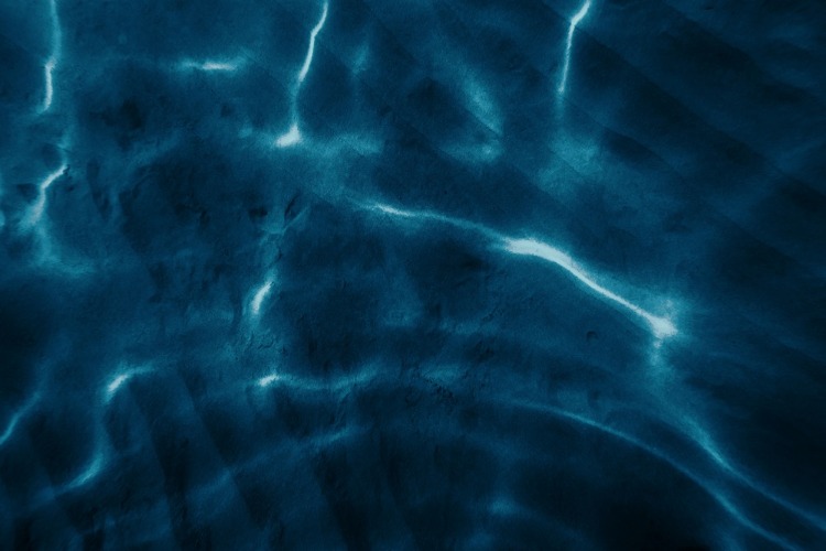 QUIZ: True or False – Ocean Mysteries