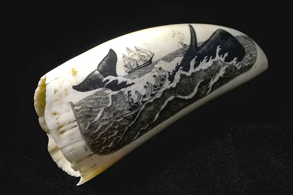 a carving of a ship and sperm whale on a sperm whale tooth
