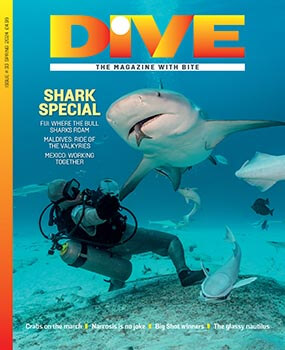 DIVE Magazine Spring 24 print issue