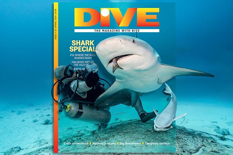 DIVE Magazine Spring 2024 preview