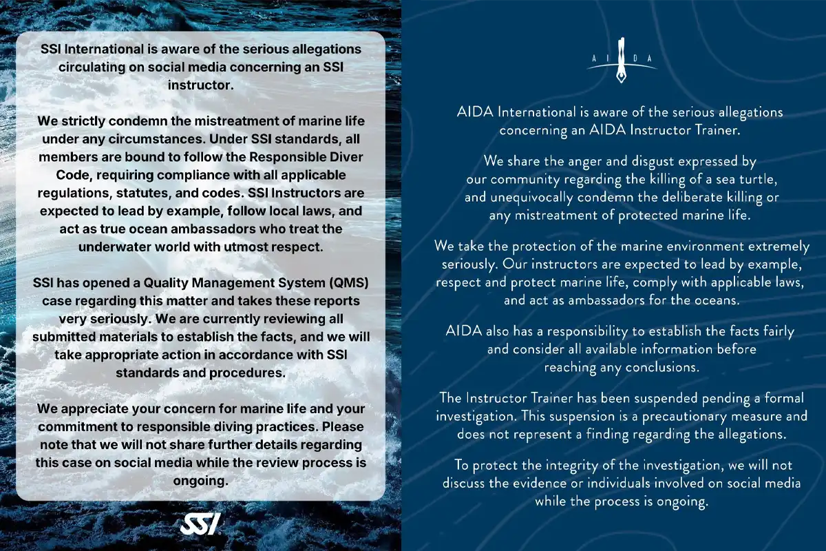 SSI and AIDA respond to Raja Ampat turtle-killing video