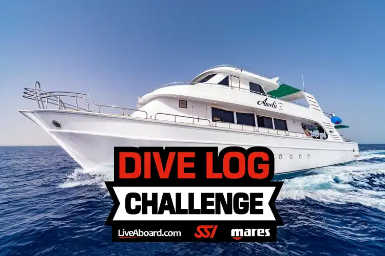 SSI Dive Log Challenge