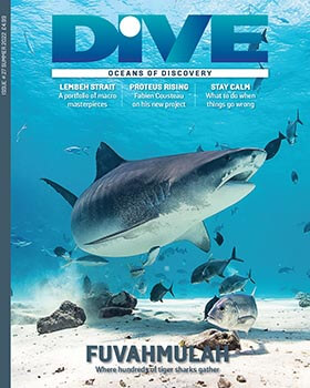 DIVE Magazine Summer 22 print issue