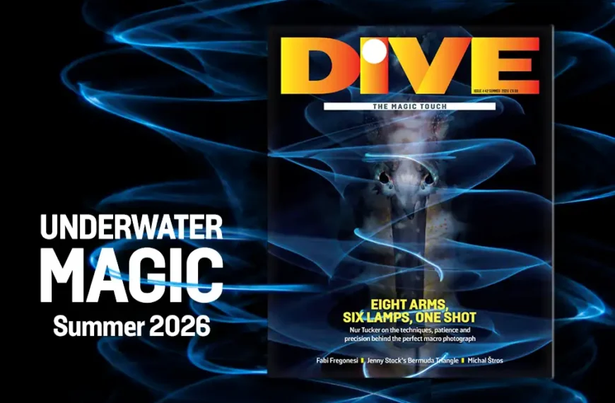 DIVE Magazine Summer 2026 preview