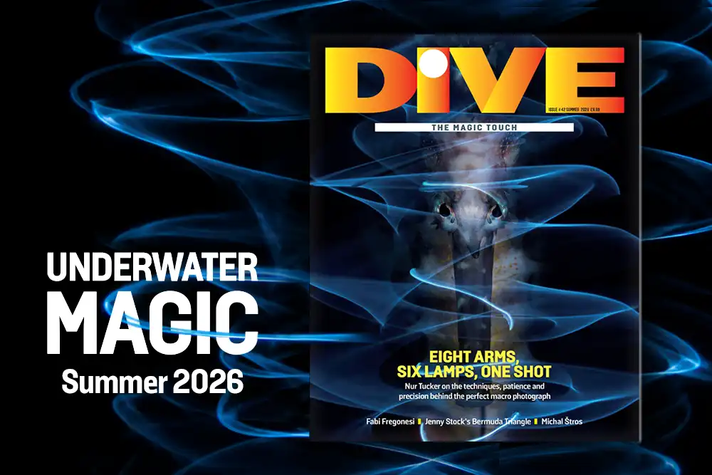 DIVE Magazine Summer 2026 preview