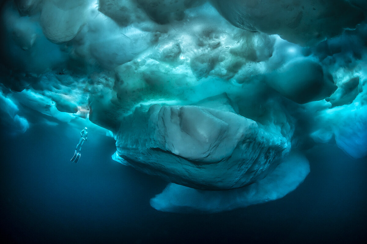 A diver heads to surface from under the ice