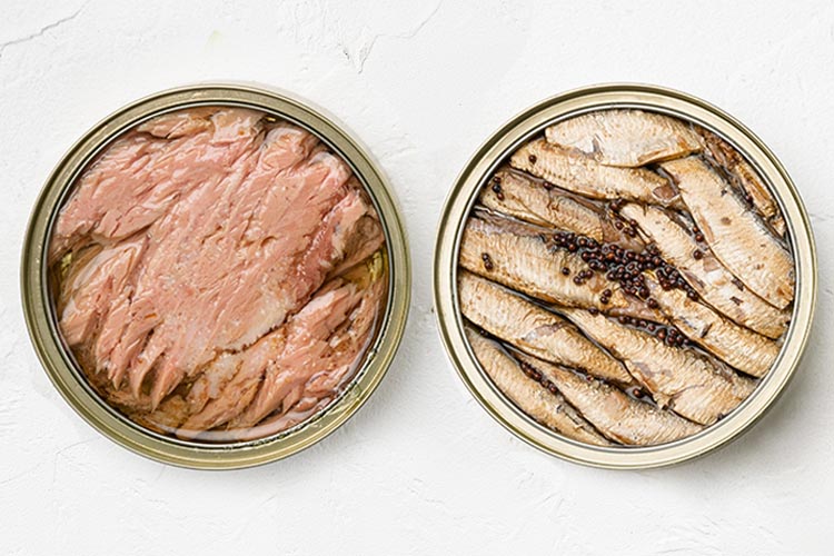 tinned tuna and tinned sardines