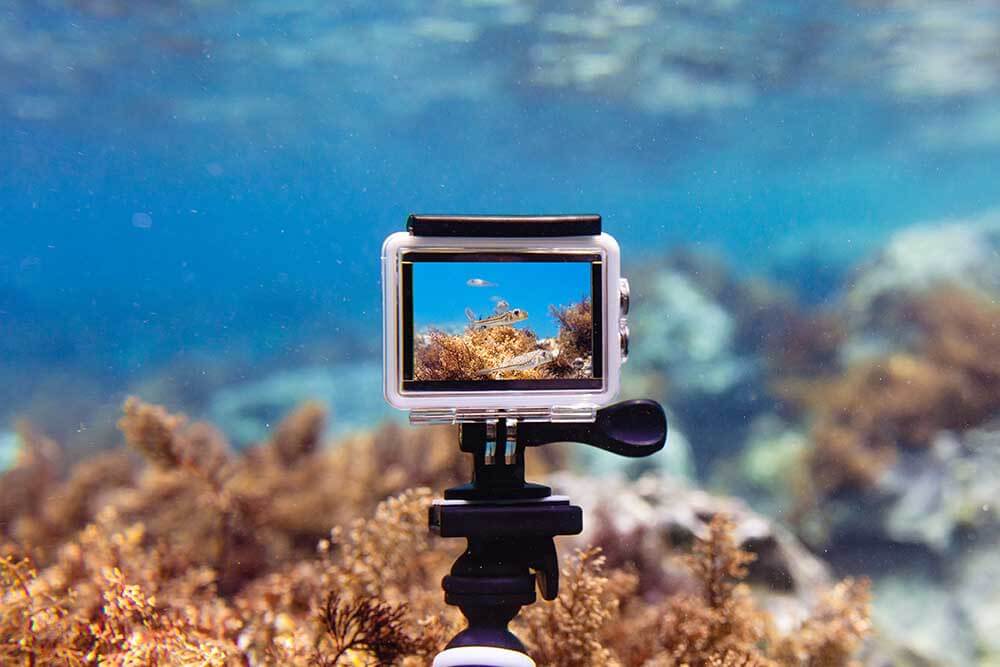 Udled resterende Whitney Best action cameras for scuba diving 2022 - DIVE Magazine