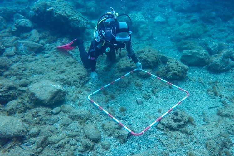 underwater archaeology diver