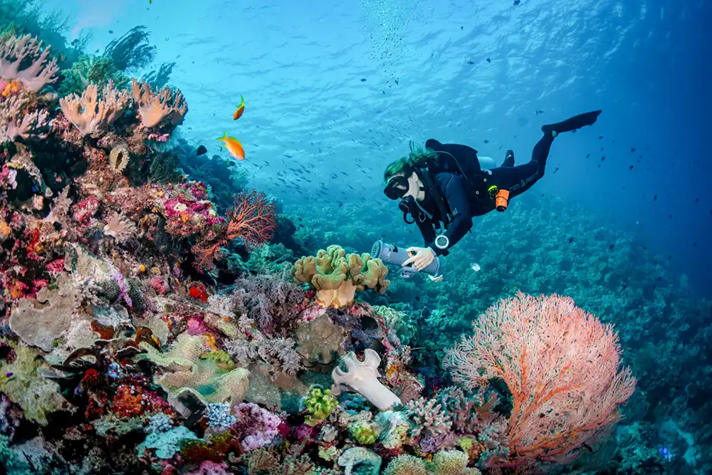 Wakatobi – the art of leaving it be