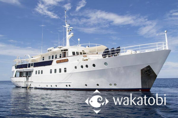 Insiders’ insights into Wakatobi’s Pelagian liveaboard