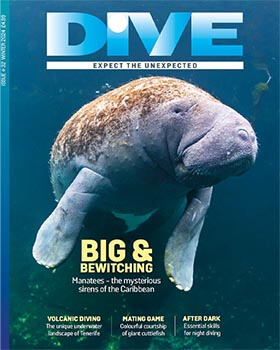 DIVE Magazine Spring 23 print issue