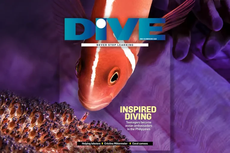 DIVE Magazine Winter 24/25 preview