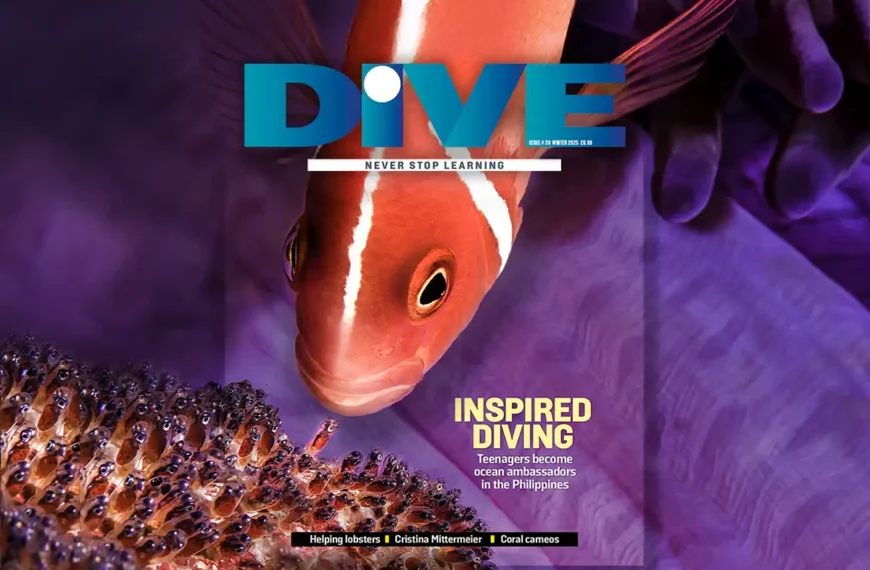 DIVE Magazine Winter 24/25 preview