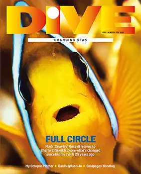 DIVE Magazine Winter 26 print issue