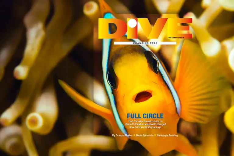 Order now! DIVE Winter 2026 print issue preview