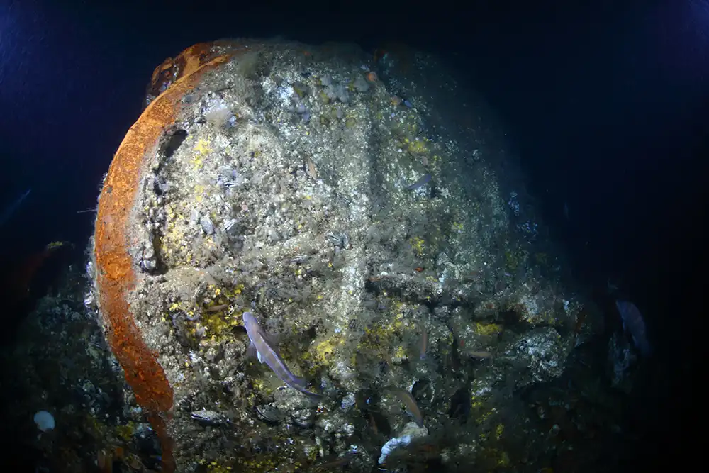 a picture of a cylinder from the wreck of the Lyonnais